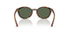 W65671 - Brown - Dark Green