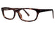 Modern Plastics II DANCE Eyeglasses