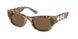 Swarovski 6022 Sunglasses