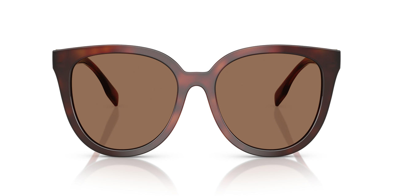 201173 - Tortoise - Dark Brown