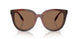 201173 - Tortoise - Dark Brown