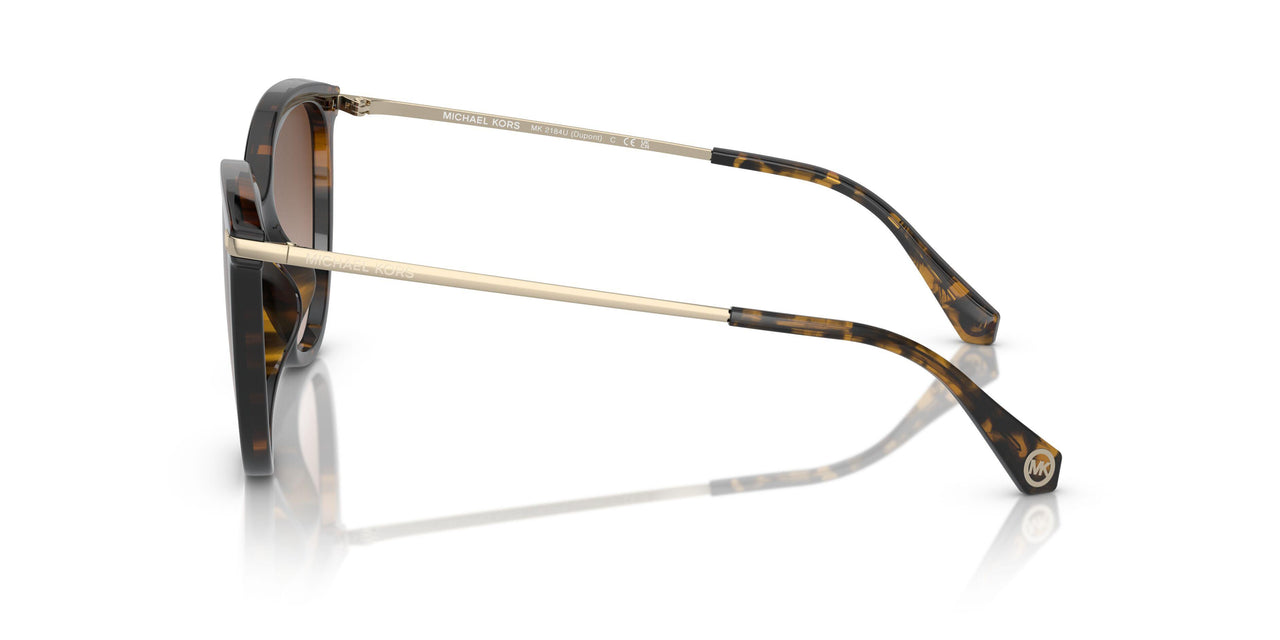 300613 - Tortoise - Brown Gradient