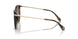 300613 - Tortoise - Brown Gradient
