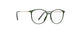 5540 - Moss Green