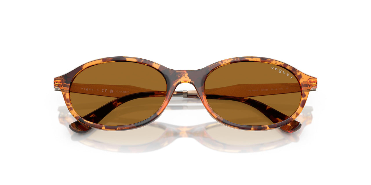 320083 - Tortoise - Bronze Polar