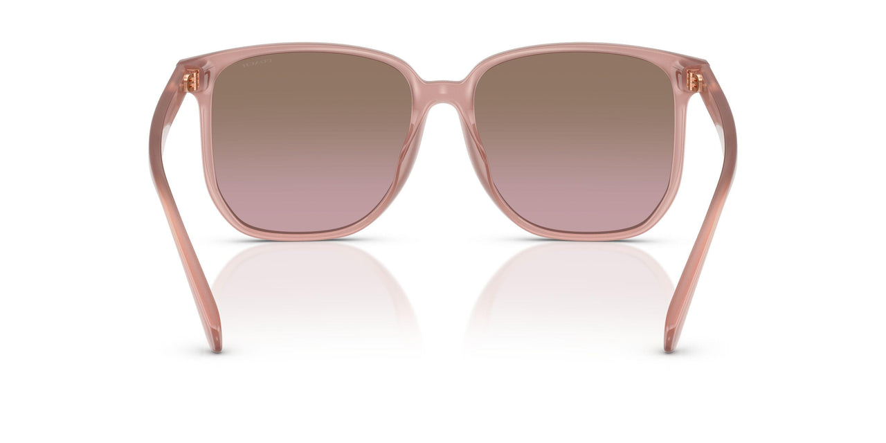 583914 - Pink - Brown Rose Gradient