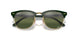 990/58 - Red Havana - Crystal Green Polarized