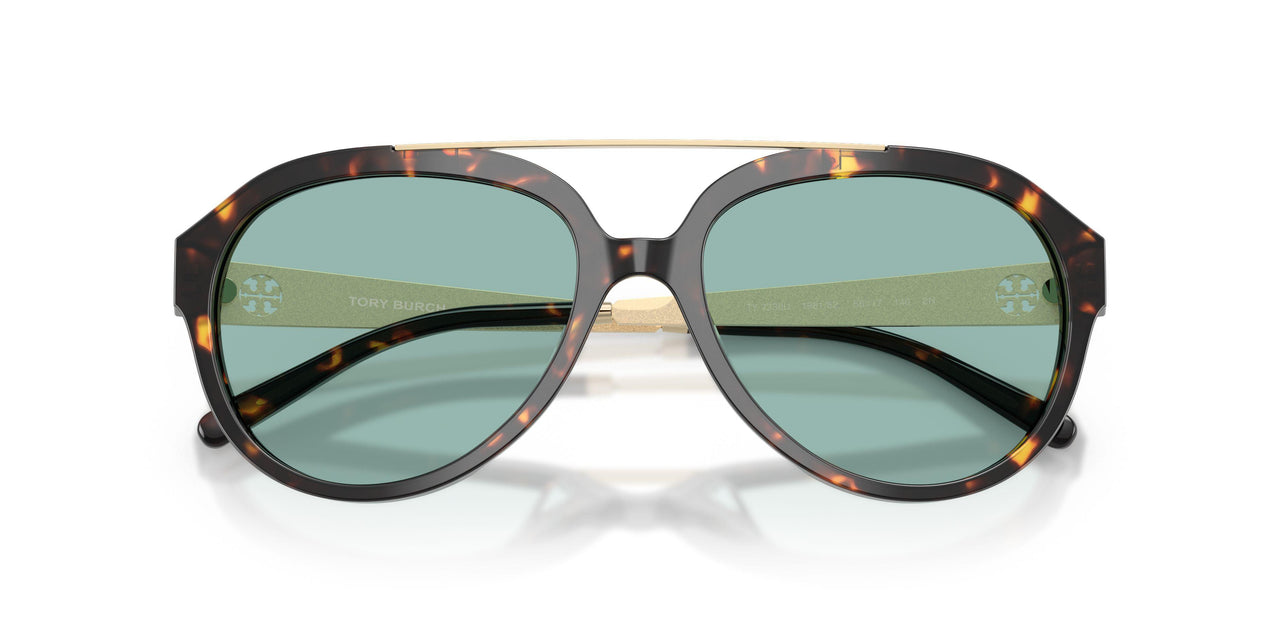 198182 - Tortoise - Petrol Green