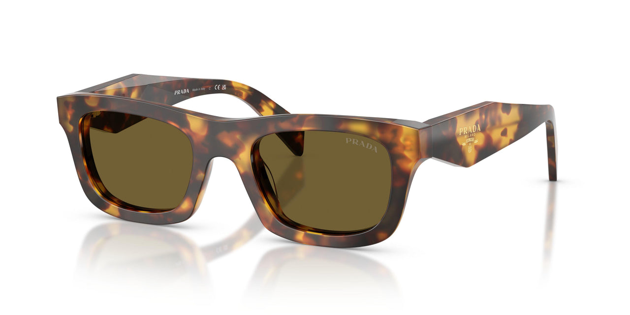 14L09Z - Tortoise - Dark Brown