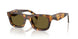 14L09Z - Tortoise - Dark Brown