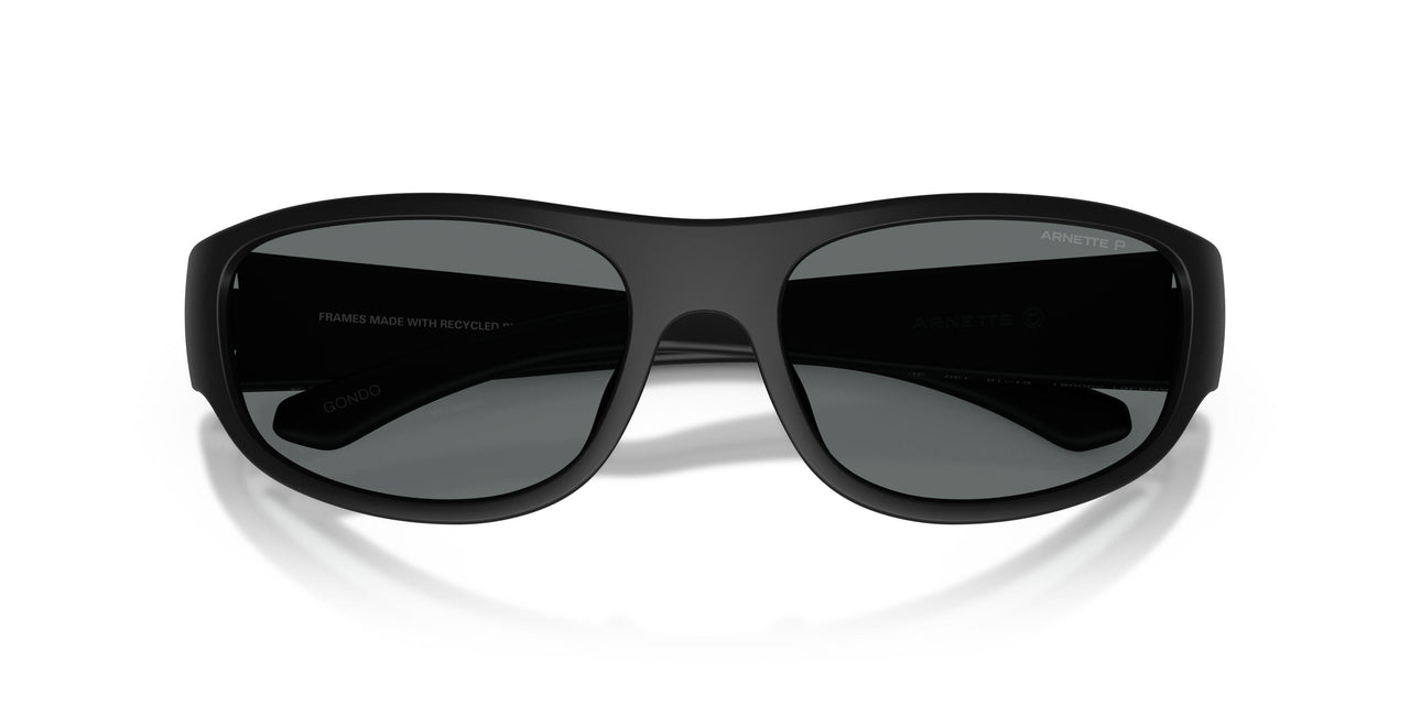 290081 - Black - Dark Grey Polarized