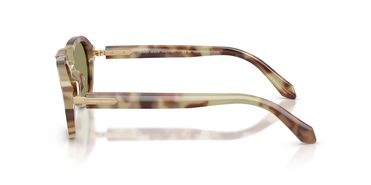 629914 - Tortoise - Green