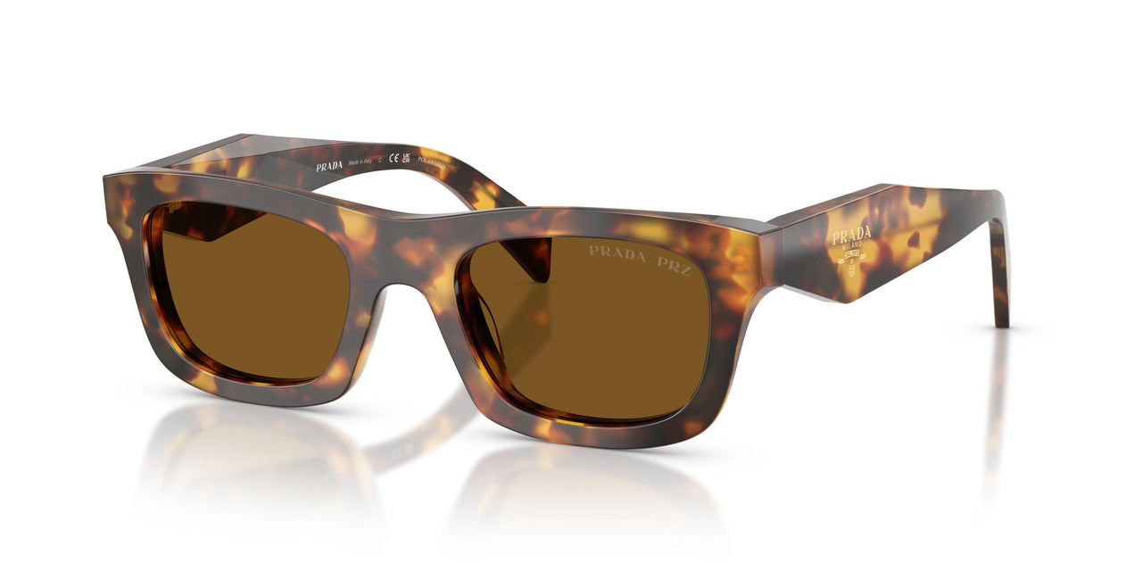 14L10U - Tortoise - Dark Brown Polar