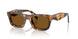 14L10U - Tortoise - Dark Brown Polar