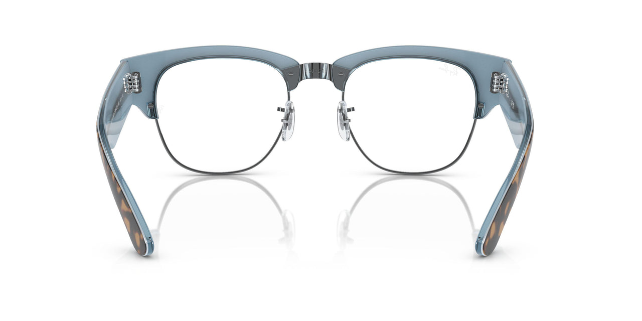5883 - Tortoise - Clear