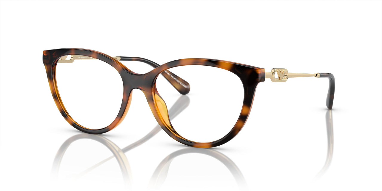 50261W - Tortoise - Clear