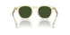 109471 - Yellow - Green