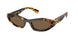 VAU06B - Tortoise - Dark Brown