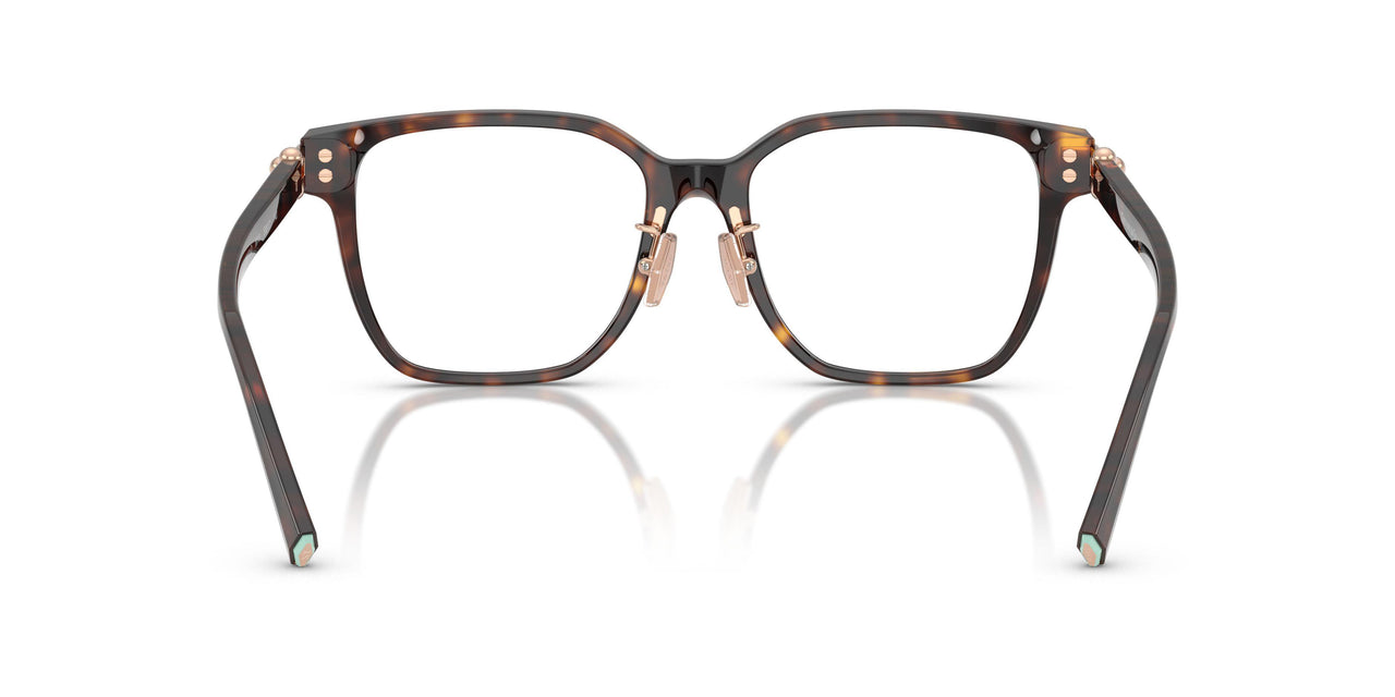 8015 - Tortoise