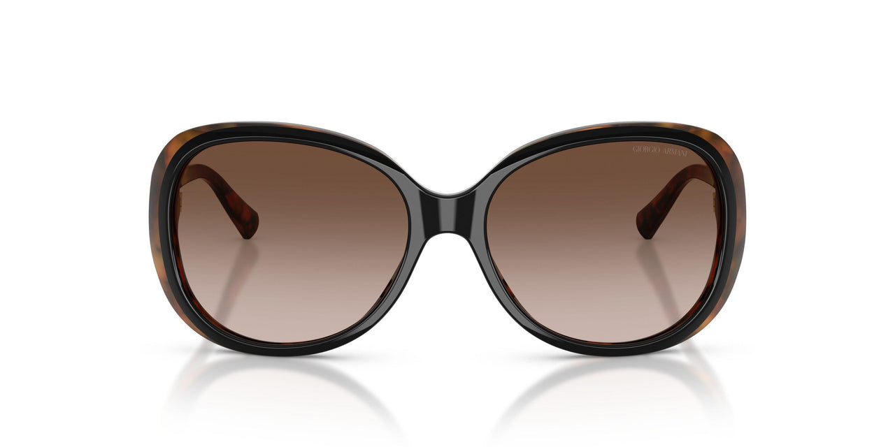 504913 - Black - Brown Gradient