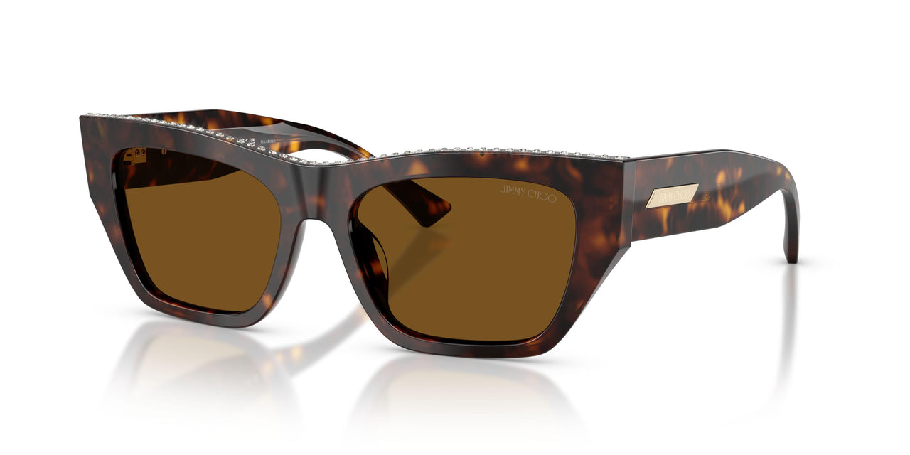 500283 - Tortoise - Dark Brown Polar