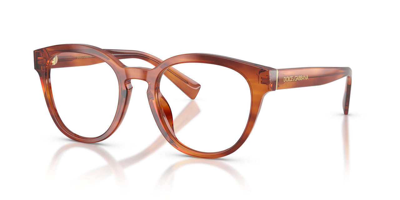 3221 - Brown