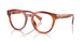 3221 - Brown