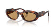 27L10Y - Tortoise - Brown