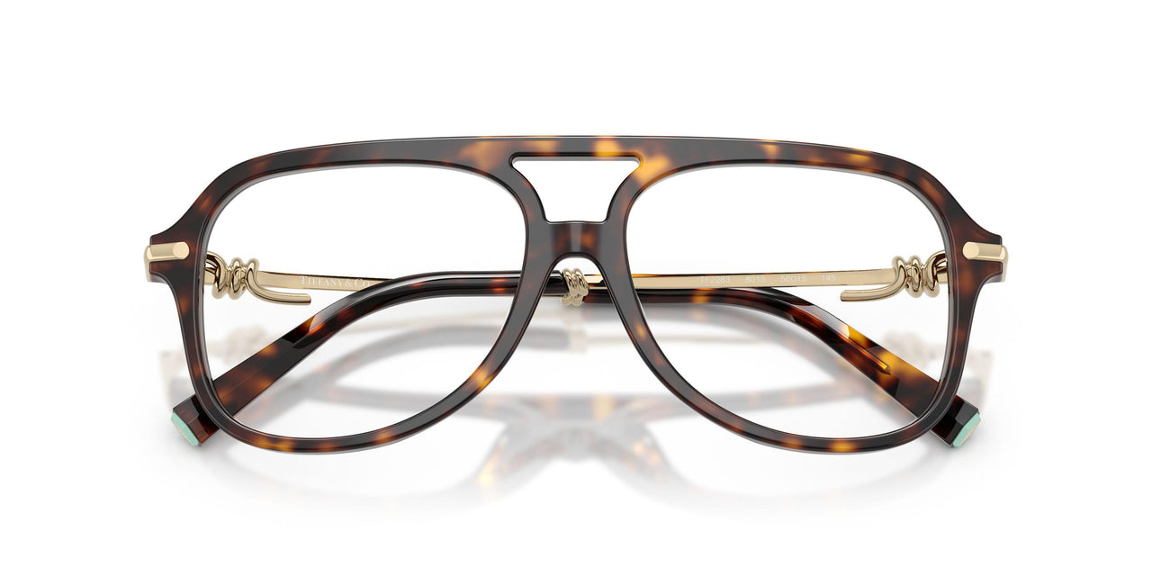 8015 - Tortoise