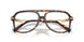 8015 - Tortoise