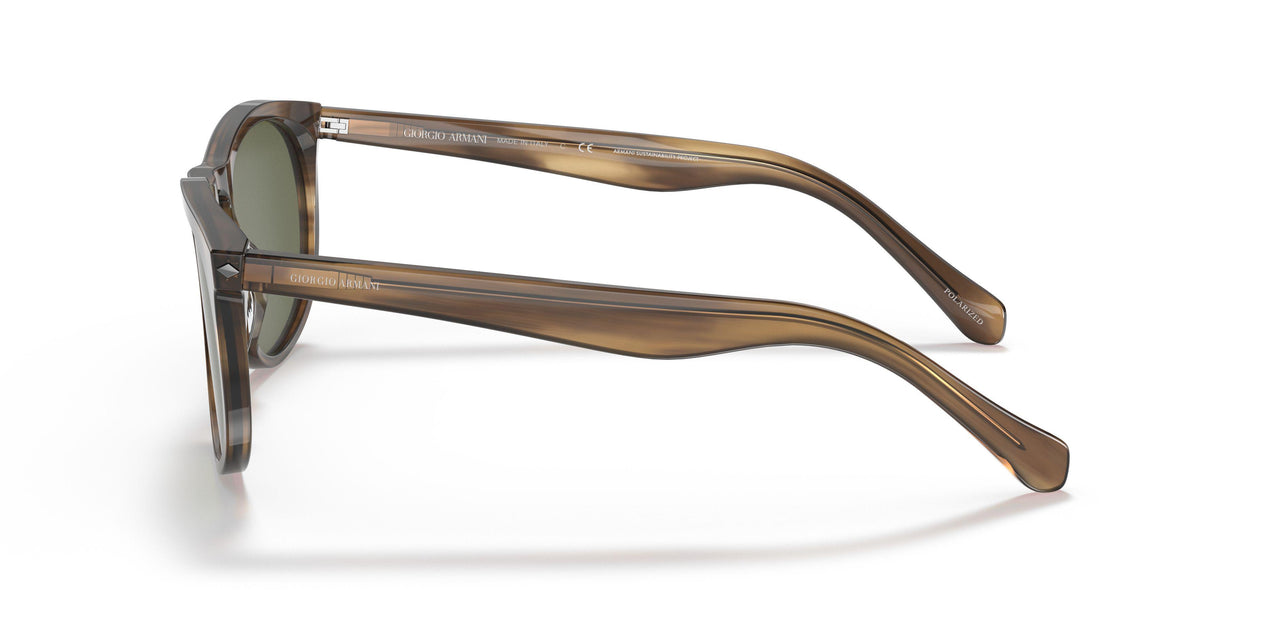 590058 - Brown - Polar Green