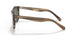 590058 - Brown - Polar Green