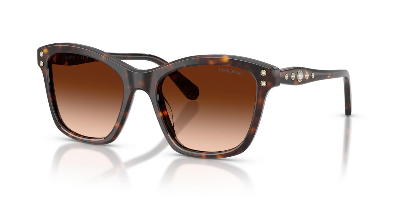 100274 - Tortoise - Gradient Brown