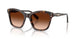 100274 - Tortoise - Gradient Brown