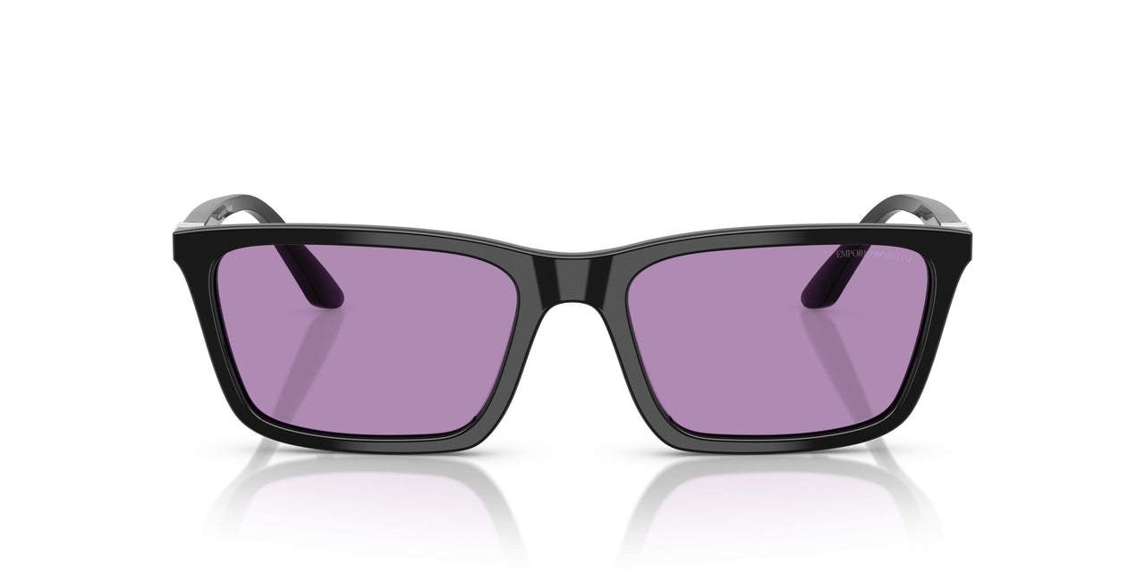 501769 - Black - Purple