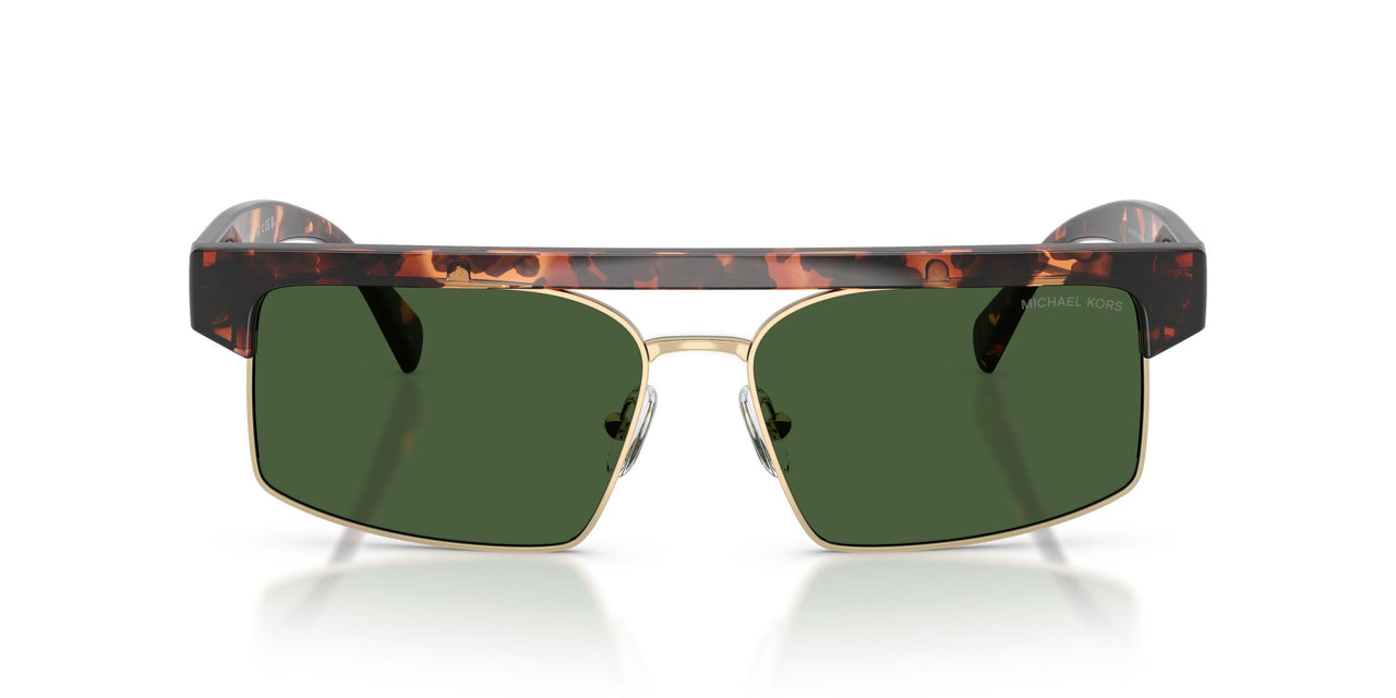 300671 - Tortoise - Green