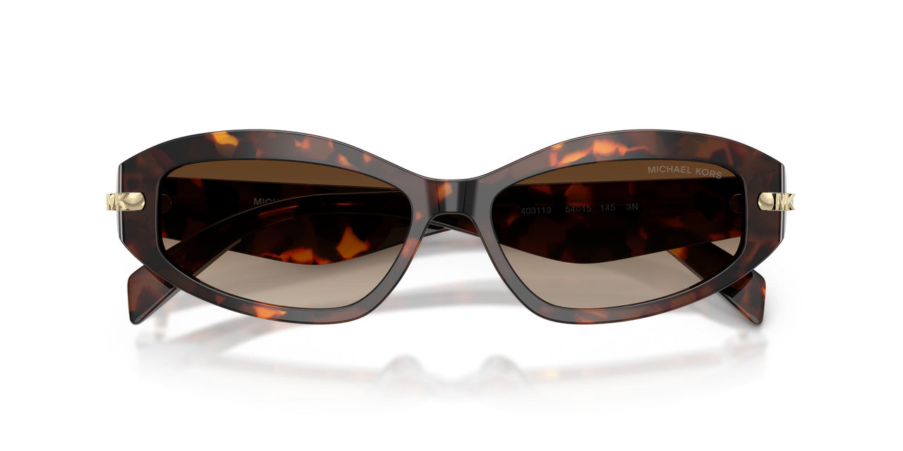 403113 - Tortoise - Smoke Gradient