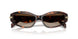 403113 - Tortoise - Smoke Gradient