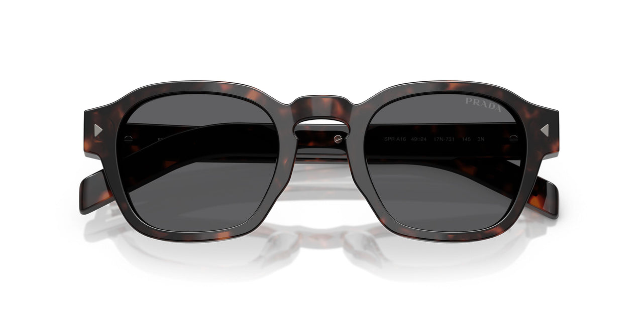 17N731 - Tortoise - Dark Grey
