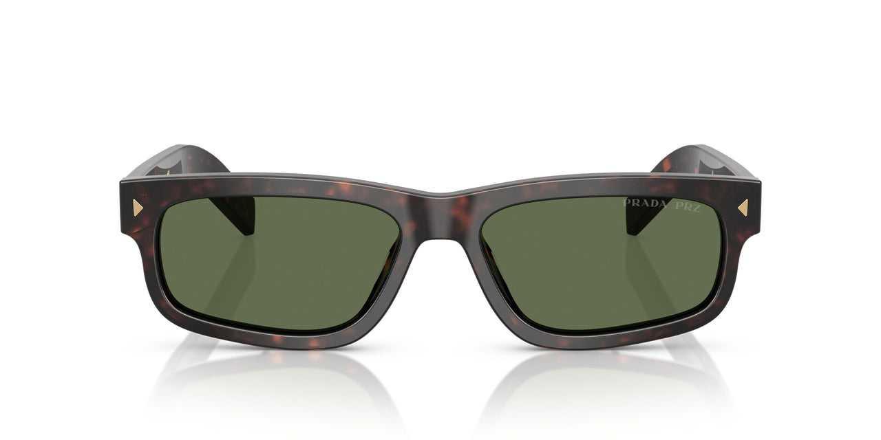 17N20G - Tortoise - Polar Green