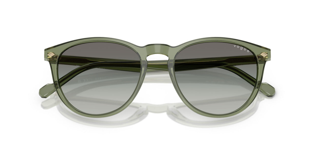 318711 - Green - Gradient Grey