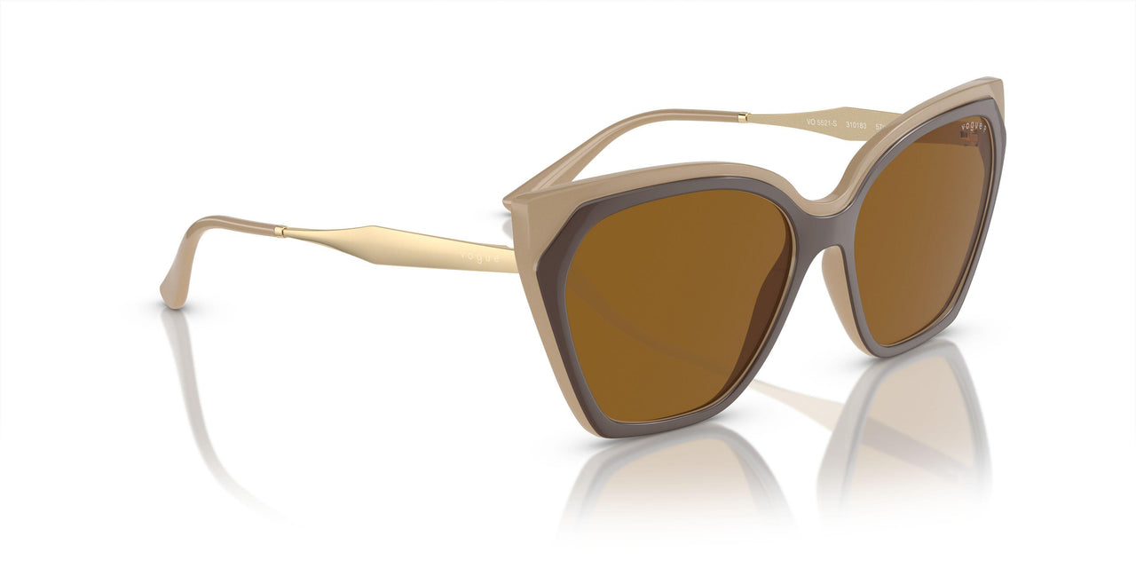 310183 - Brown - Dark Brown Polar