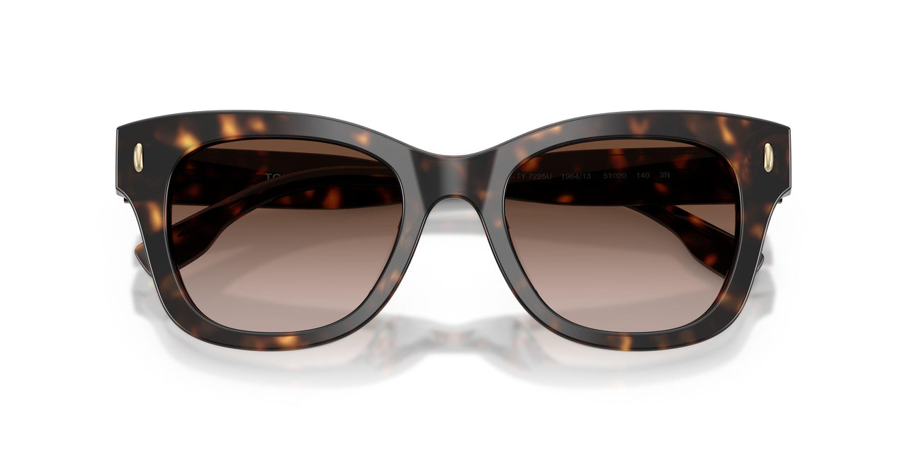 196413 - Tortoise - Brown Gradient