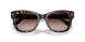 196413 - Tortoise - Brown Gradient