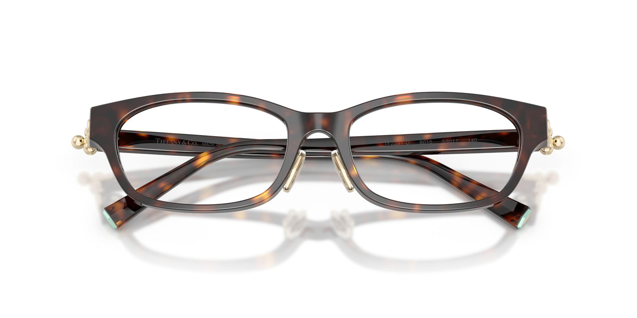 8015 - Tortoise
