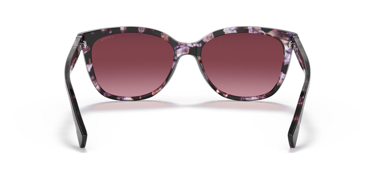 55488H - Purple/reddish - Burgundy Gradient