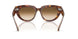 141451 - Tortoise - Clear Gradient Brown