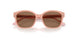 638773 - Pink - Dark Brown