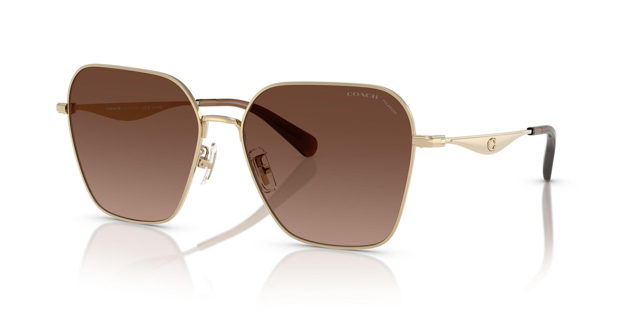 9005T5 - Gold - Brown Gradient Polar