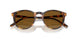 513483 - Havana - Polar Brown